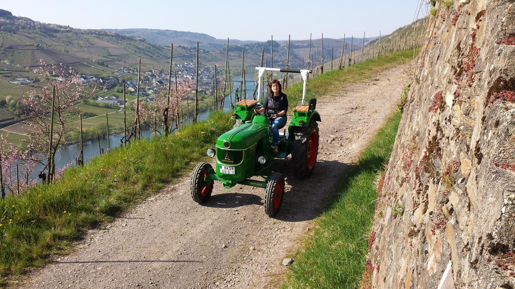 Weingut Hirschen Enkircherweg Burg (Bernkastel-Wittlich) Quarto foto